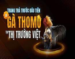 giao diện app đá gà 789 nét