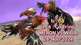 giao diện app đá gà 88 cpc4