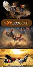 giao diện app đá gà 888 c2