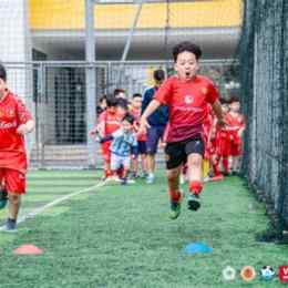 goal city đá gà
