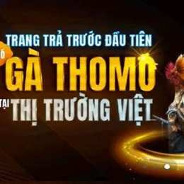 hình ảnh của alo789 da ga