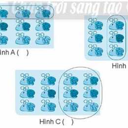 hình nào đã khoanh vào 1/3 số con gà
