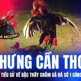 hưng cần thơ bán gà đá mới nhất