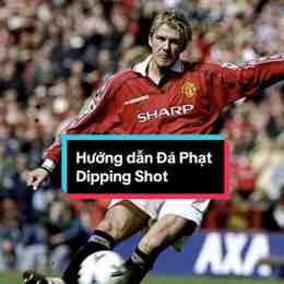 hướng dẫn đá gà