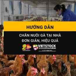huong dan nuoi ga da