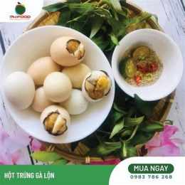 hướng dẫn sử dụng 1 hồ đá gà bao nhiêu phút