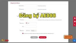 hướng dẫn sử dụng ae888 da ga auction