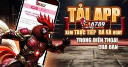 hướng dẫn sử dụng app đá gà thomo ios