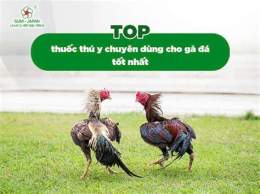 hướng dẫn sử dụng ban ga da cho tot