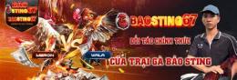hướng dẫn sử dụng baosting da ga moi nhat