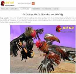 hướng dẫn sử dụng bat da ga moi nhat 2015