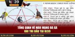 hướng dẫn sử dụng bj39 đá gà trực tuyến