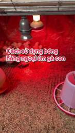 hướng dẫn sử dụng bong da li ga