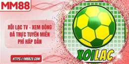 hướng dẫn sử dụng bóng đá xôi gà