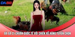hướng dẫn sử dụng c1 22/2 đá gà