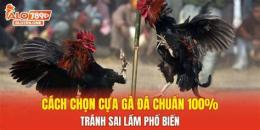 hướng dẫn sử dụng cách chọn gà đá cựa
