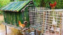 hướng dẫn sử dụng cách làm chuồng bay cho gà đá
