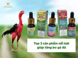 hướng dẫn sử dụng cách nuôi tang gà đá