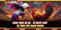 hướng dẫn sử dụng cach thuc ga da