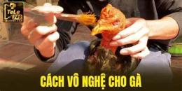 hướng dẫn sử dụng cách vào nghệ cho gà đá cựa sắt