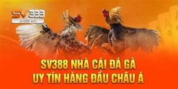 hướng dẫn sử dụng cách xem đá gà trực tiếp
