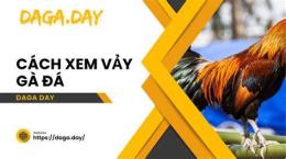 hướng dẫn sử dụng cach xem vay ga da