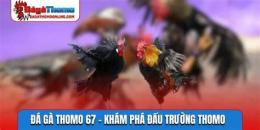 hướng dẫn sử dụng cam 67 đá gà