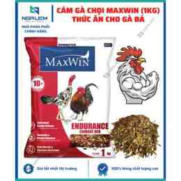 hướng dẫn sử dụng cám gà đá maxwin