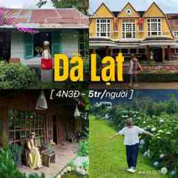 hướng dẫn sử dụng check in ga đà lạt