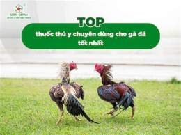 hướng dẫn sử dụng cho tot ga da quan 5