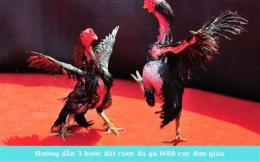hướng dẫn sử dụng chơi đá gà w88
