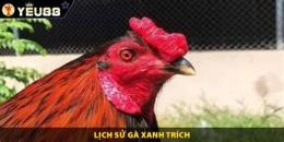 hướng dẫn sử dụng clip gà xanh trích đã