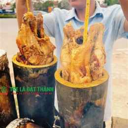hướng dẫn sử dụng coi da ga tre