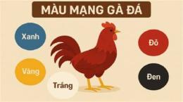 hướng dẫn sử dụng coi màu mạng gà đá hôm nay