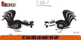 hướng dẫn sử dụng coi ngay da ga hom nai