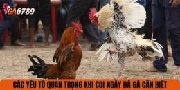hướng dẫn sử dụng coi ngay da ga tot xau