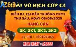 hướng dẫn sử dụng cúp c3 đá gà