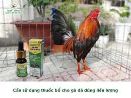 hướng dẫn sử dụng đá gà 13 chấm com