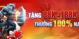 hướng dẫn sử dụng đá gà 13 trực tiếp