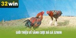 hướng dẫn sử dụng đá gà 32win