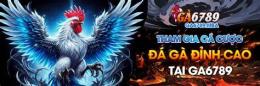 hướng dẫn sử dụng đá ga 6789