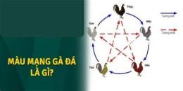 hướng dẫn sử dụng đá gà 77win