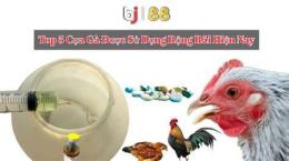 hướng dẫn sử dụng đá gà 88 cpc4