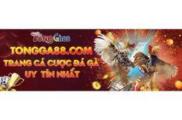 hướng dẫn sử dụng đá gà 88 hiện đăng mở