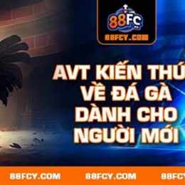 kiến thức đá gà