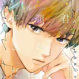 kimi no kao ga suki da manga