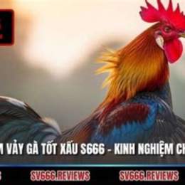 kinh nghiem xem vay ga da