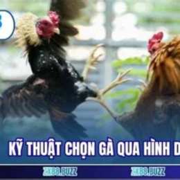 ky thuat chon ga da