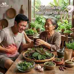 la mơ trứng gà chữa dạ dày