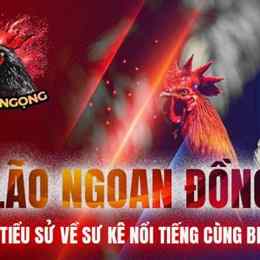 lão ngoan đồng đá gà